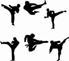 Taekwondo Groep 5 & 6